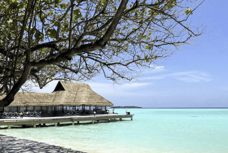 Maldives: Country Guide